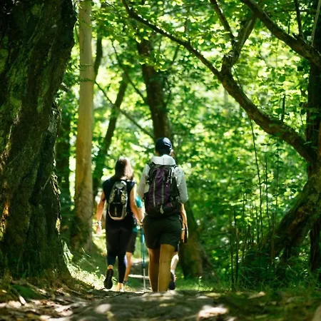 Aparthotel Hacienda Llamabua 3*